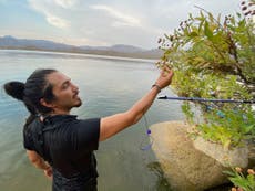 A California scholar's research into a flowering shrub took him to Mexico and a violent death