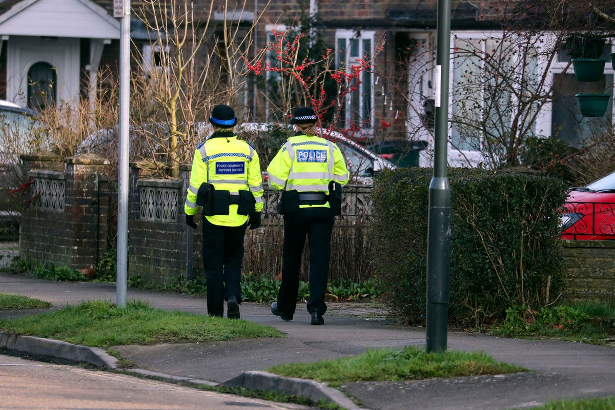 Government backs reduction in police response to mental health incidents despite failure to assess risks