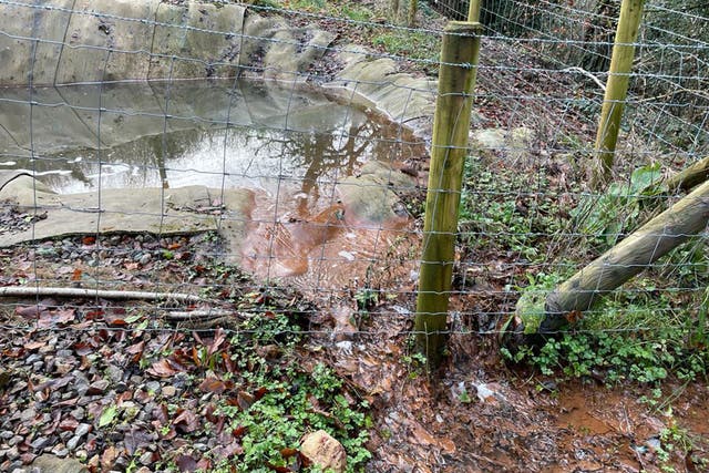 Contaminated liquid, known as leachate, spilt from the aeration chamber through a woodland and onto a road (Bronwen Weatherby/PA)