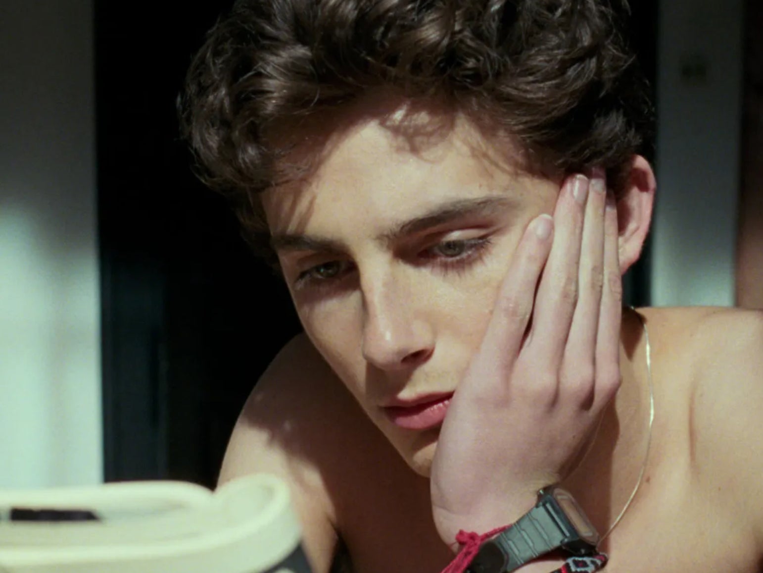 James Ivory wrote 2017 film ‘Call Me By Your Name’, which stars Timothée Chalamet