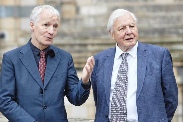 Sir David Attenborough has visited the Natural History Museum in London. (Trustees of the Natural History Museum, London/ Aimee McArdle)