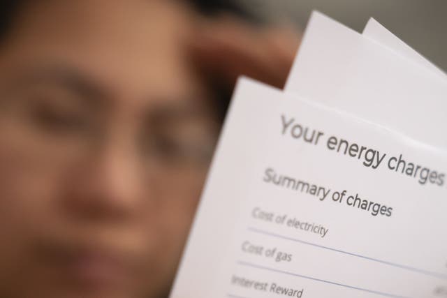 Concerns have been raised that standing charges penalise consumers who try to keep their energy bills under control (PA)