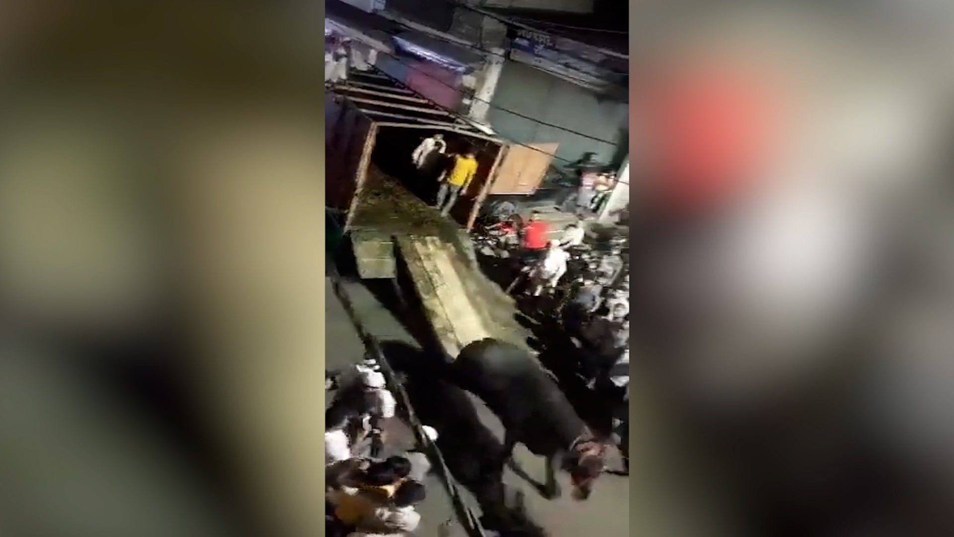 <p>Buffalo on its way to be sacrificed for Eid escapes - sparking chaos and causing injury</p>