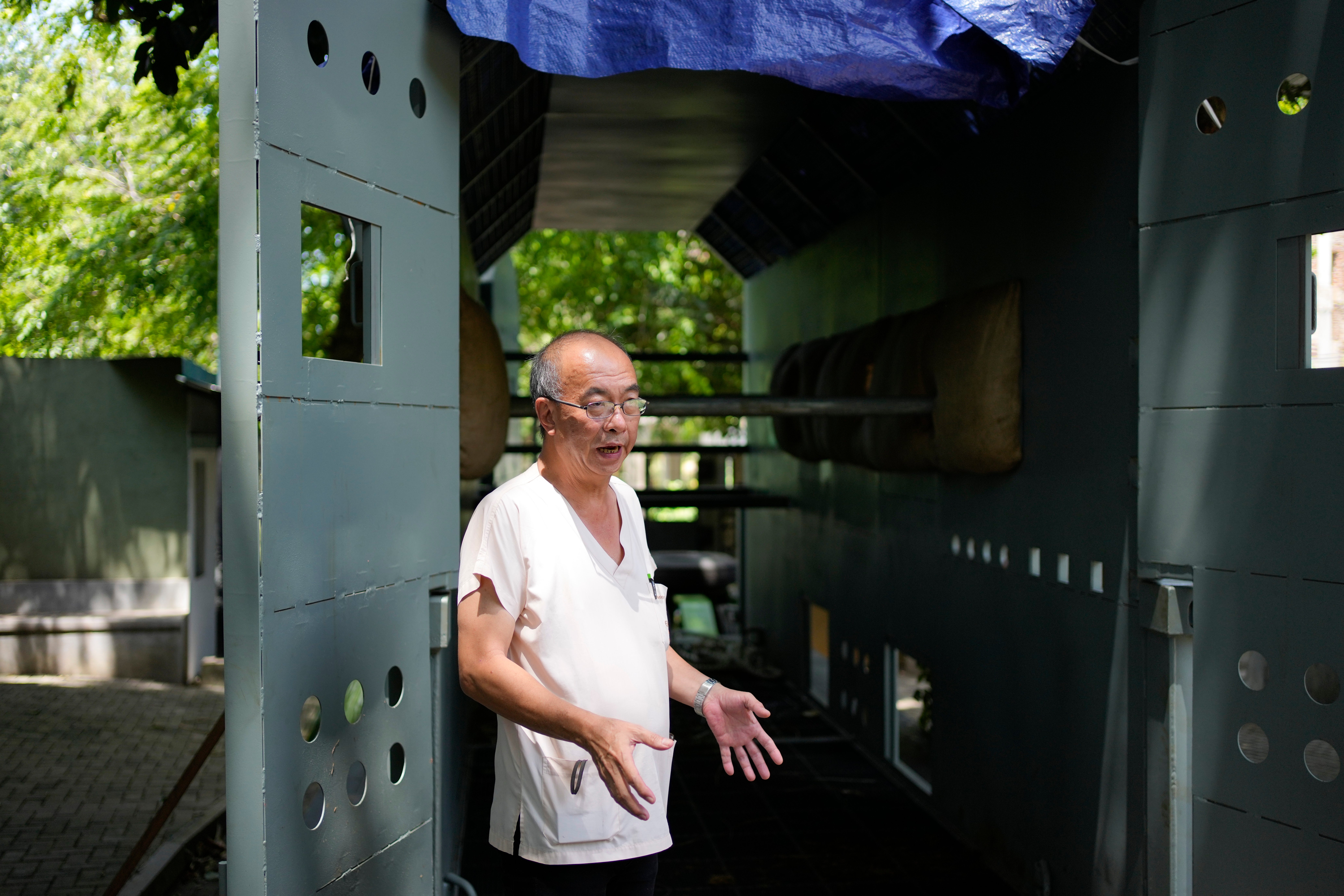 Sri Lanka Thai Elephant