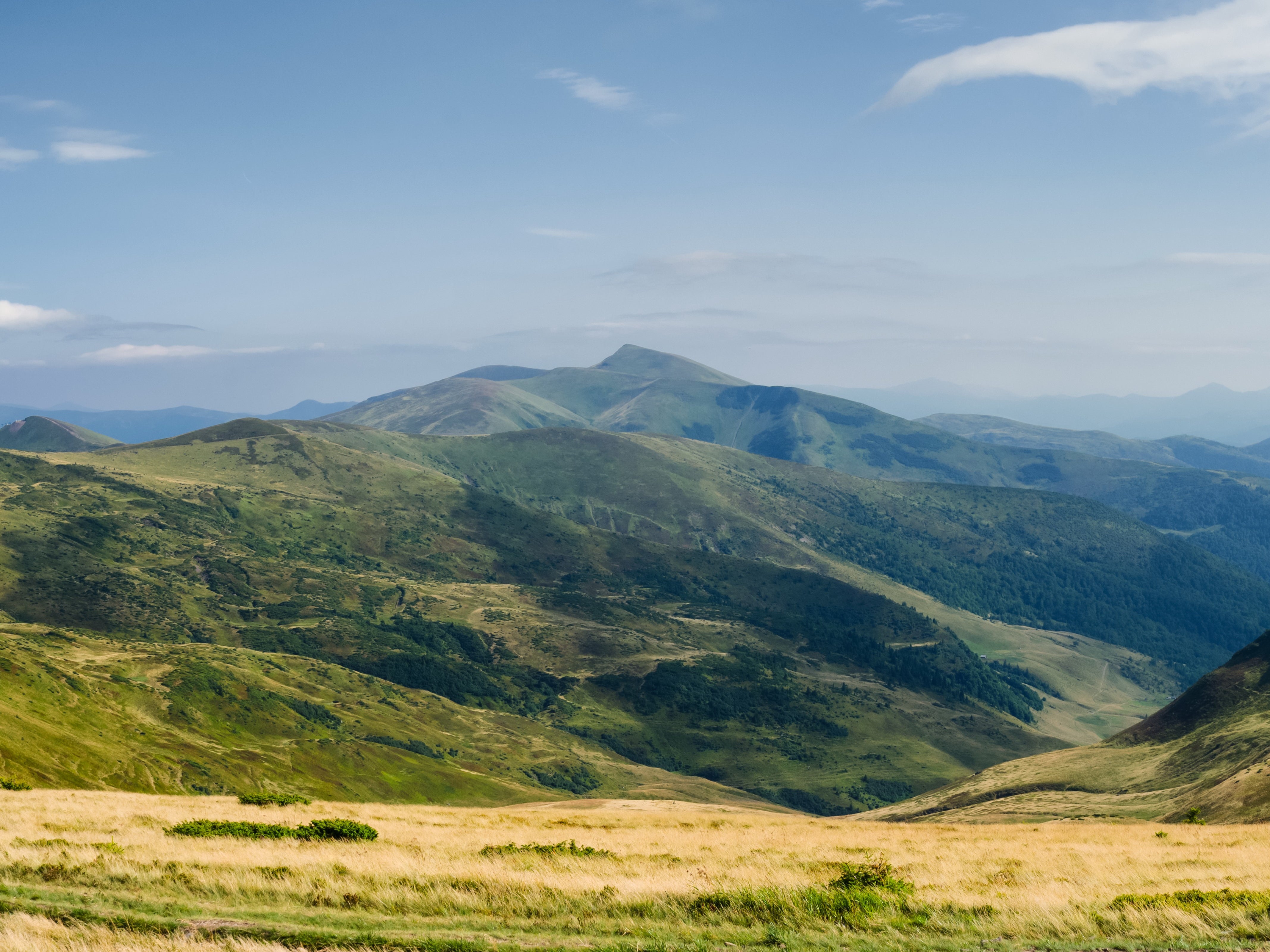 The mountain pastures are home to endangered species