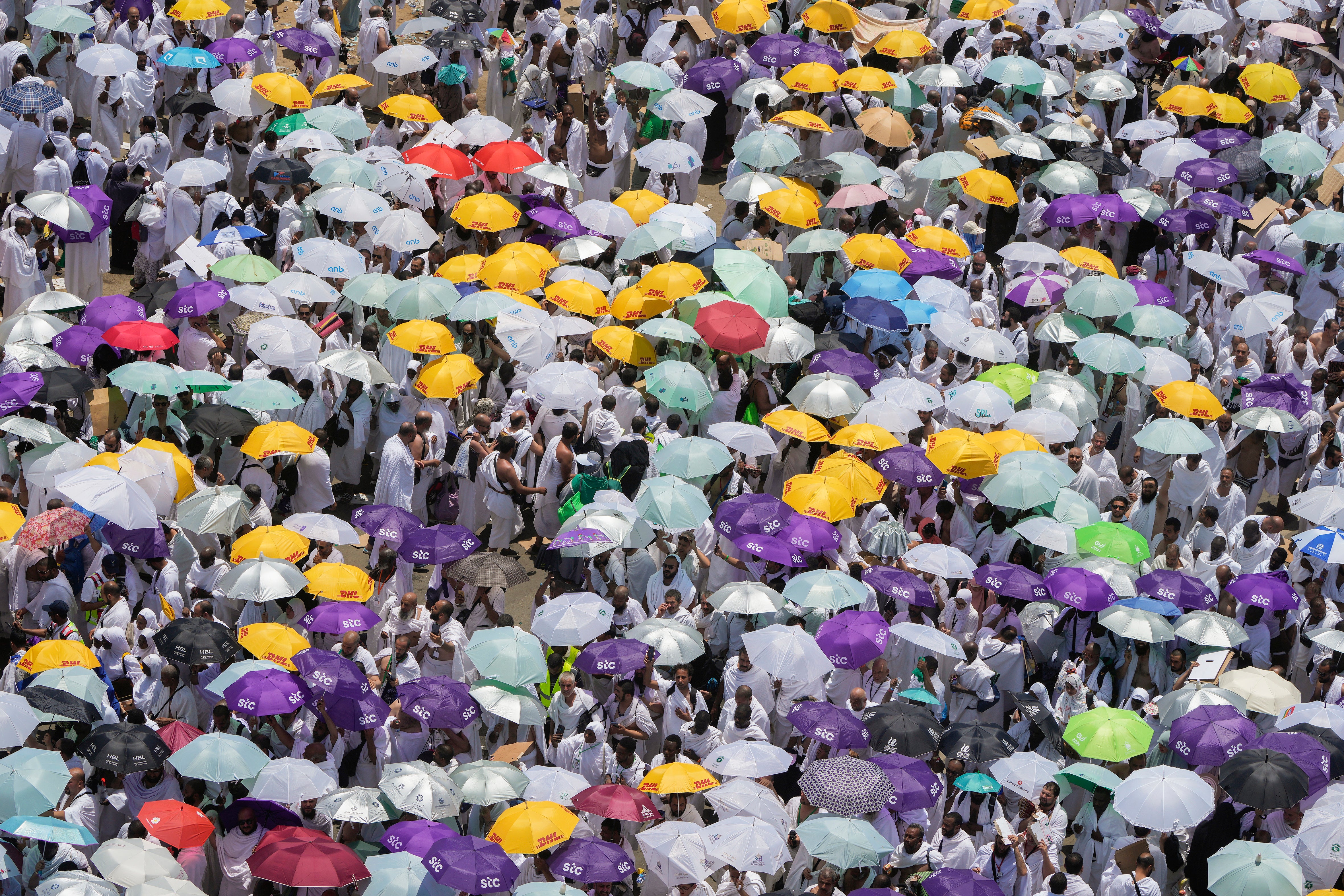 Pictures of the Week-Global-Photo Gallery