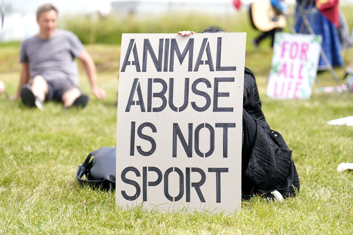 Three arrested after Animal Rising vows to disrupt Greyhound Derby final