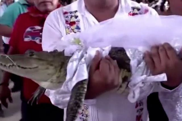 <p> Mexico mayor marries alligator-like reptile who he calls 'princess girl' as part of ritual</p>