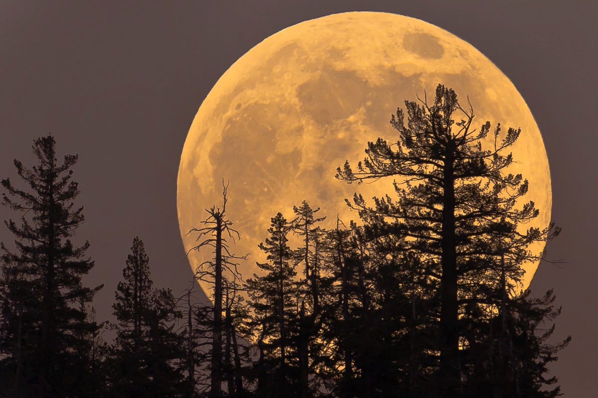 Supermoon tonight will be biggest and brightest of 2023 | The Independent