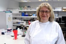 Testing begins for Orkney cancer gene link