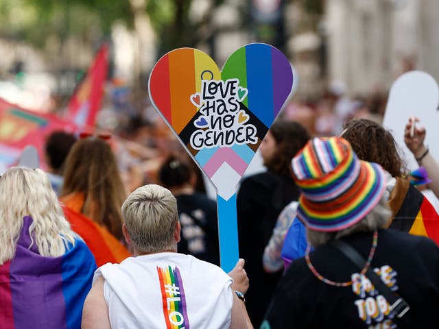 <p>Parade-goers carry flags and placards at Pride in London on Sunday 1 July</p>