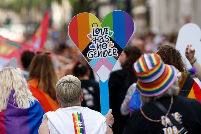 <p>Parade-goers carry flags and placards at Pride in London on Sunday 1 July</p>