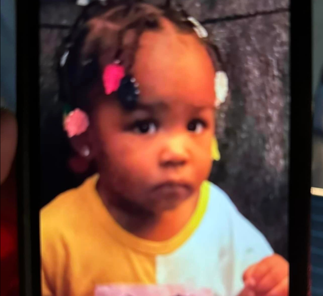 <p>Police in Lansing, Michigan, have issued an Amber Alert for two-year-old Wynter Smith</p>