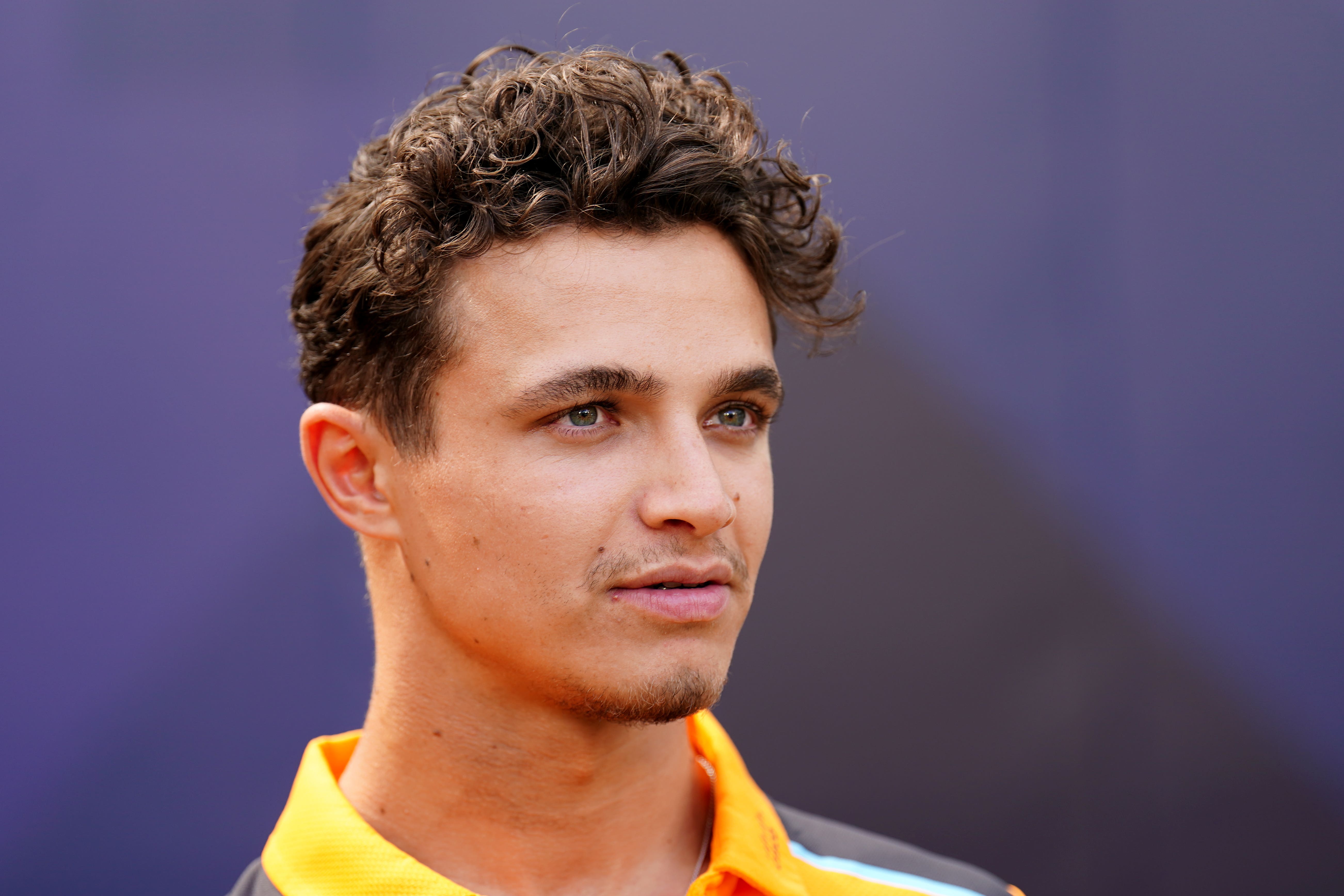 Lando Norris has taken aim at Just Stop Oil protesters (Zac Goodwin/PA)