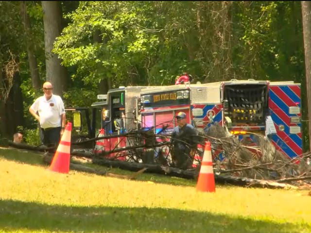 <p>Police at the site of crash along Pete Dye Drive just off Gray Heron Road in South Carolina’s North Myrtle Beach. Screengrab</p>