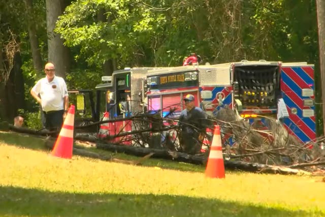 <p>Police at the site of crash along Pete Dye Drive just off Gray Heron Road in South Carolina’s North Myrtle Beach. Screengrab</p>