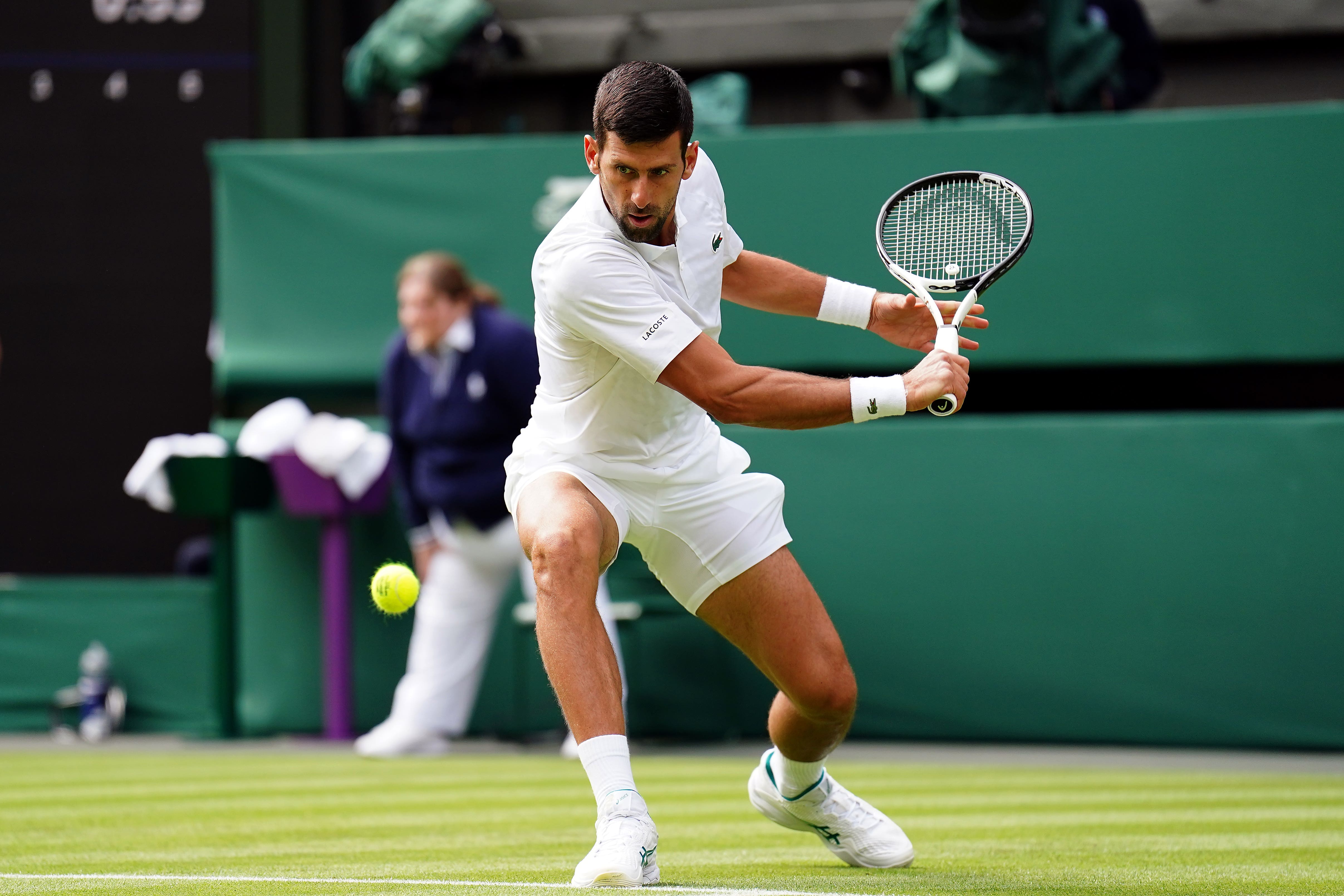 This is how Novak Djokovic is preparing to win Wimbledon The Independent