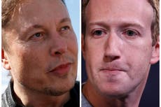 Mark Zuckerberg plays down Elon Musk’s cage fight details