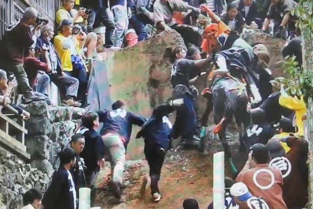 <p>A horse falls back while climbing up a steep wall during the race </p>