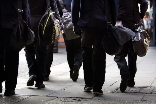 MPs called on the Government to develop a specific strategy for engaging with boys and young men in primary and secondary schools (PA)