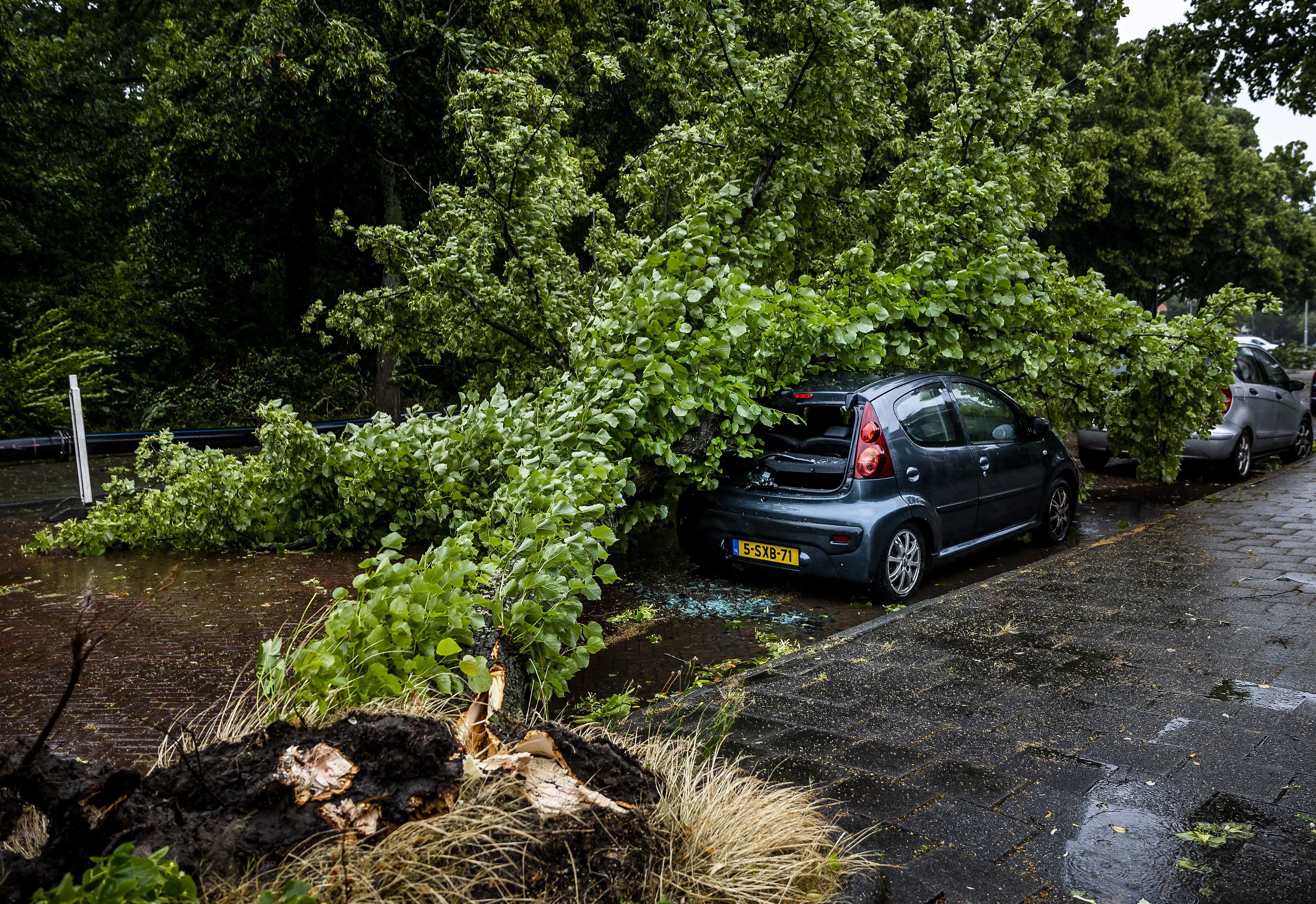 An uprooted tree has a car buried on the Zaanenlaan in Haarlem, The Netherlands after first summer storm of the year