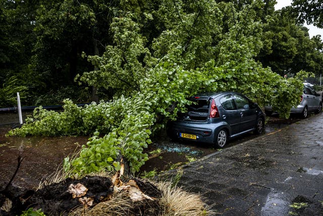 <p>An uprooted tree has a car buried on the Zaanenlaan in Haarlem, The Netherlands after first summer storm of the year </p>