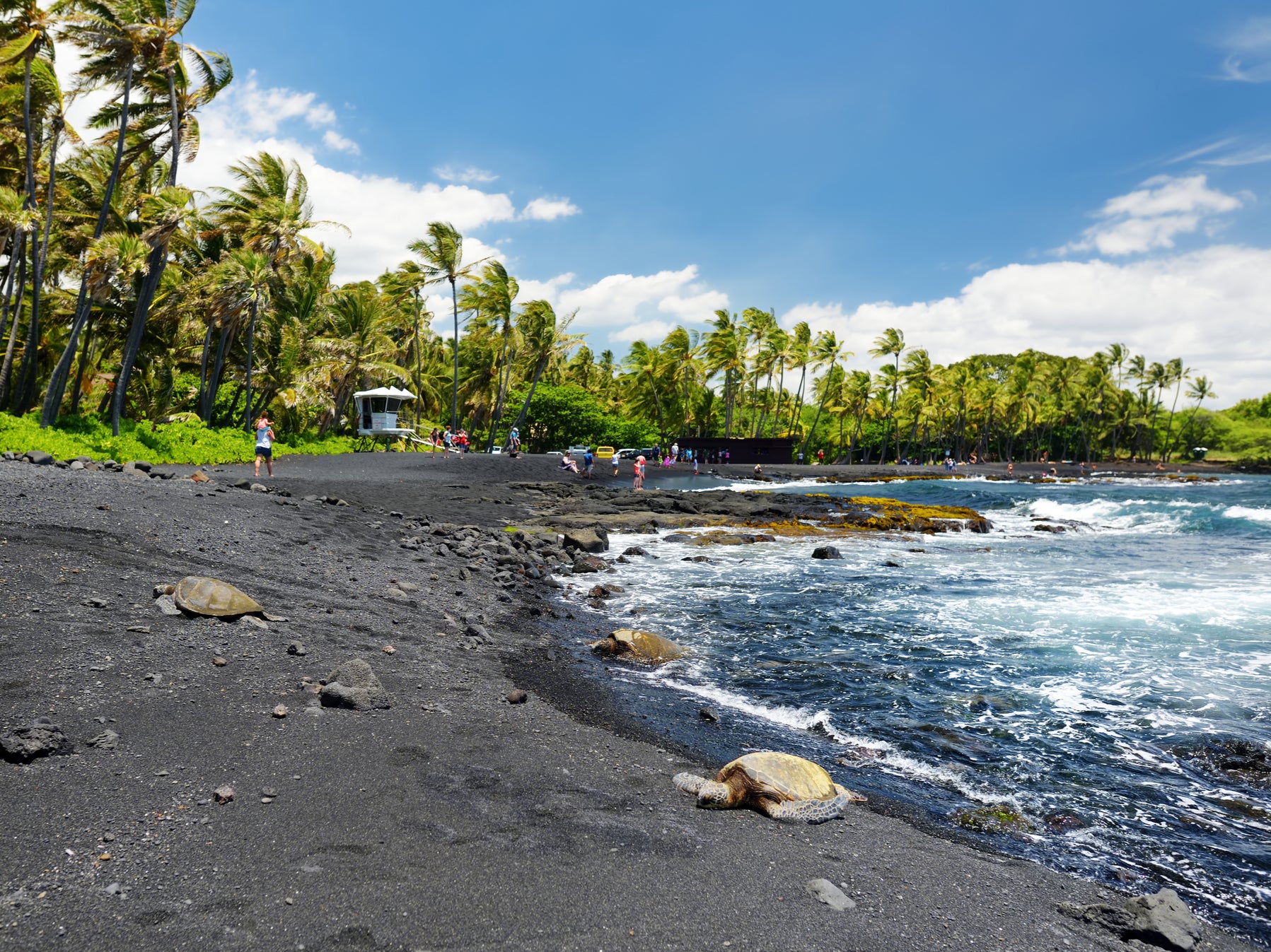 The black sand was formed after lava flowed from the nearby Hawaii Volcanoes National Park