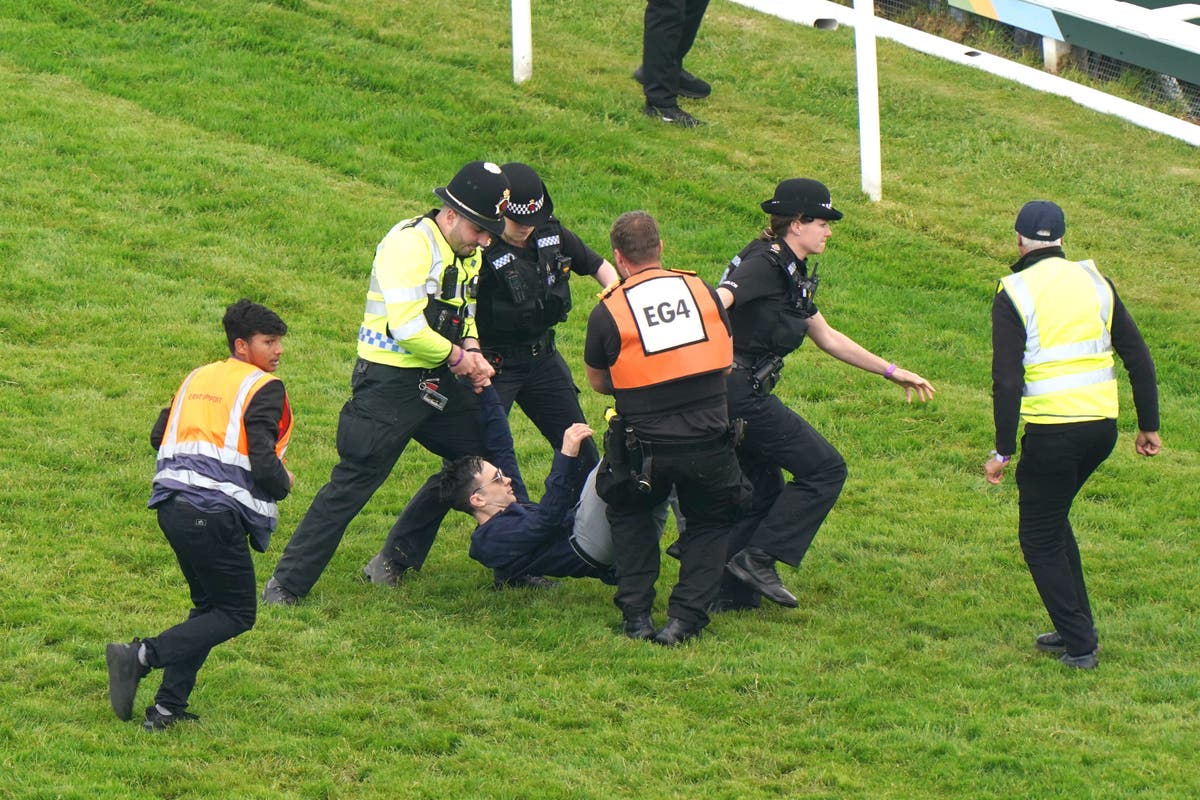 Animal Rising protester pleads guilty after disrupting Epsom Derby