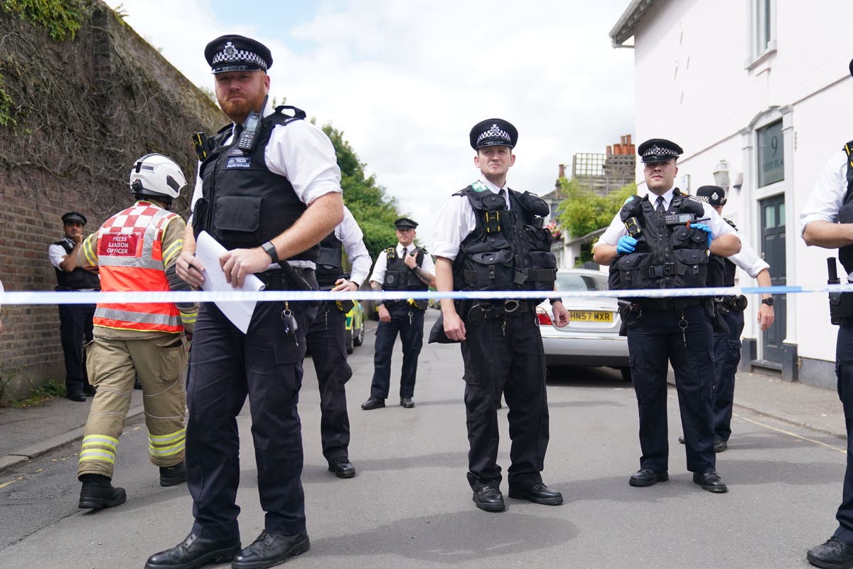 Girl, 8, killed, 15 injured in Wimbledon primary school crash – live
