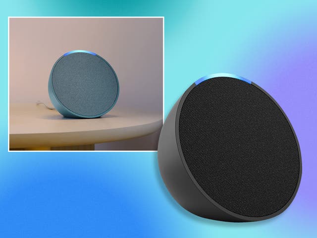 <p>Will we soon have Echo Pops dotted around every room? </p>