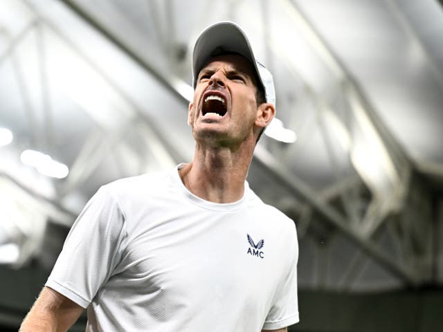 <p>A fired-up Andy Murray engages with the crowd during his battle with Stefanos Tsitsipas</p>