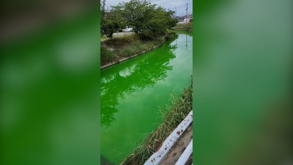 Japanese river turns fluorescent green overnight leaving locals baffled