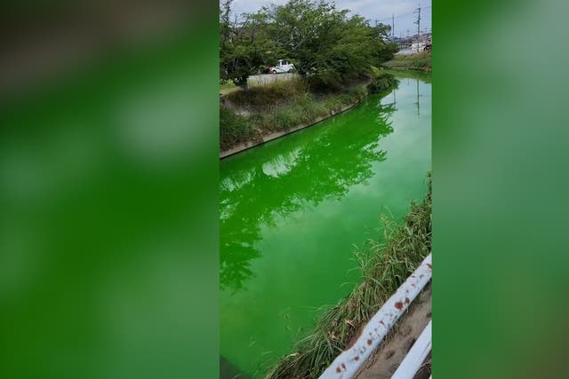 <p>Japanese river turns fluorescent green overnight leaving locals baffled</p>