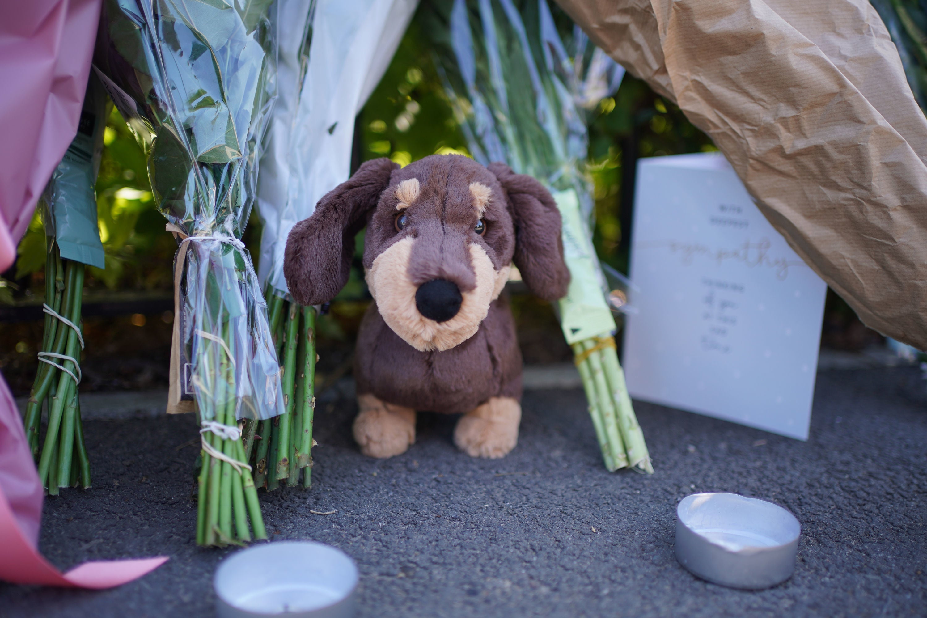 A stuffed toy of a dog, candles and flowers placed outside the Study Preparatory School in Wimbledon, south-west London, after a Land Rover crashed into the girls' prep school building on the last day of term. An eight-year-old girl was killed and 10 people were taken to hospital following the incident. A woman in her 40s has been arrested on suspicion of causing death by dangerous driving.