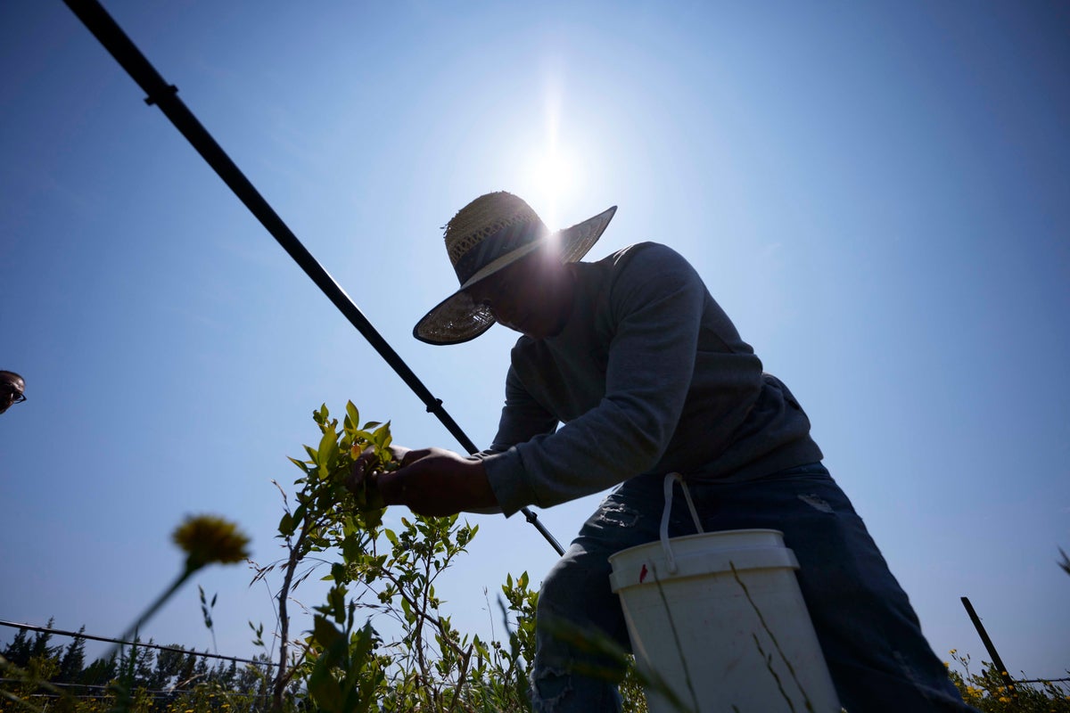 Climate change ratchets up the stress on farmworkers on the front lines of a warming Earth