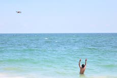 50 sharks spotted swimming off Long Island coast prompts beach closure after attacks