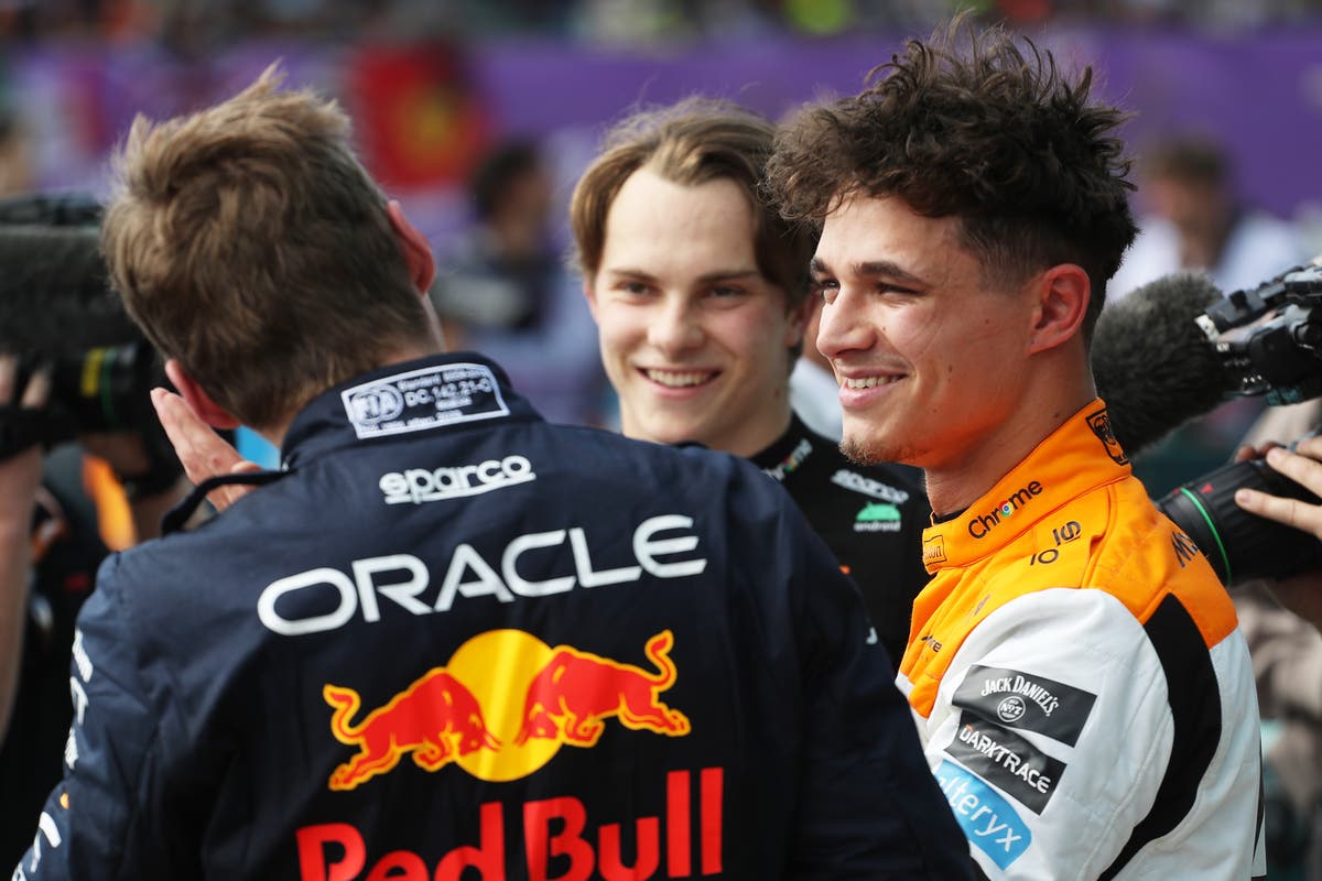 F1: Max Verstappen pips Lando Norris to pole position at British Grand ...