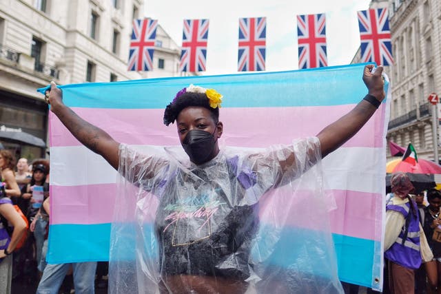<p>A marcher waves a trans flag in central London </p>