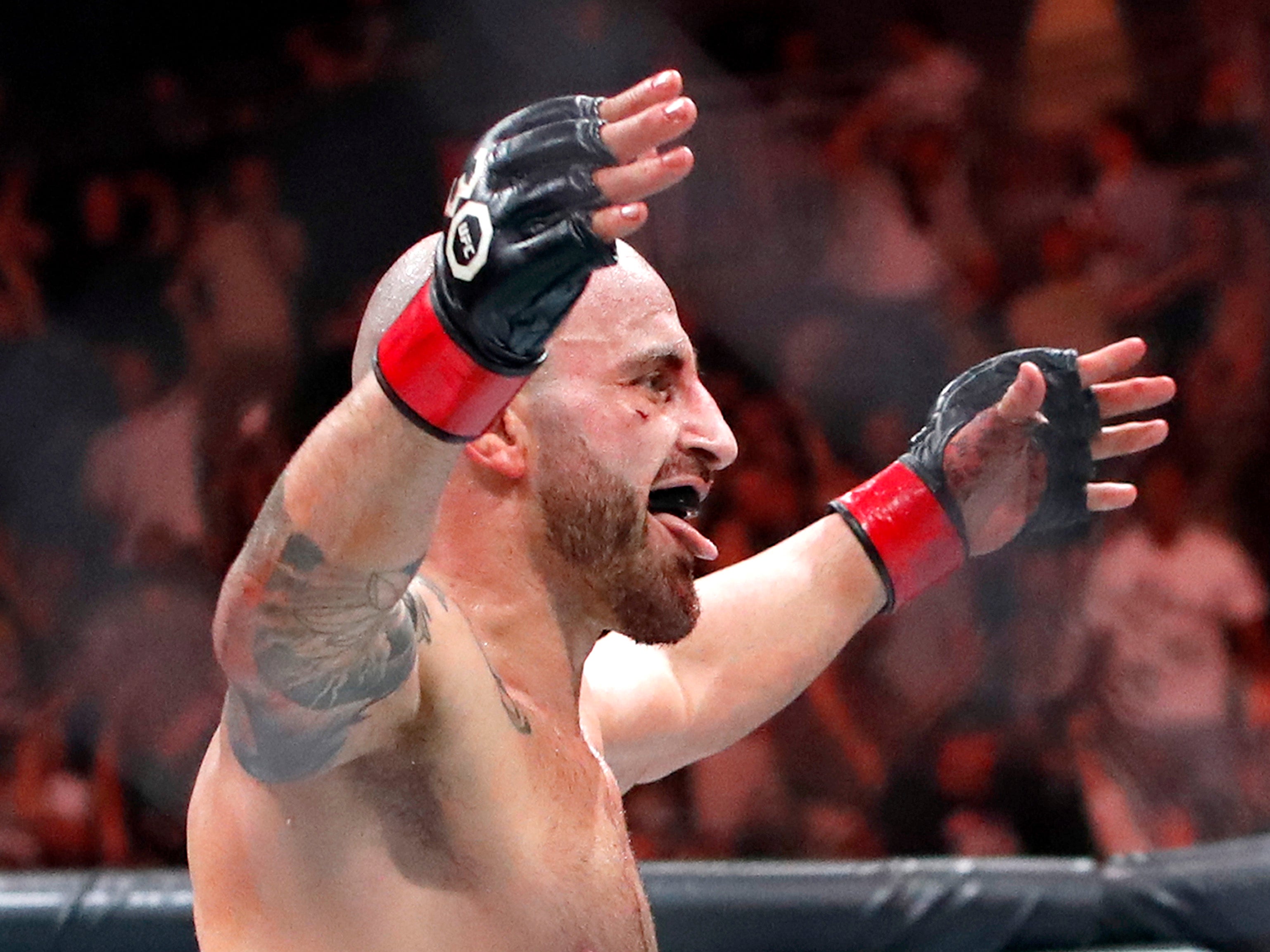 Alexander Volkanovski will aim to regain the (now-vacant) featherweight title