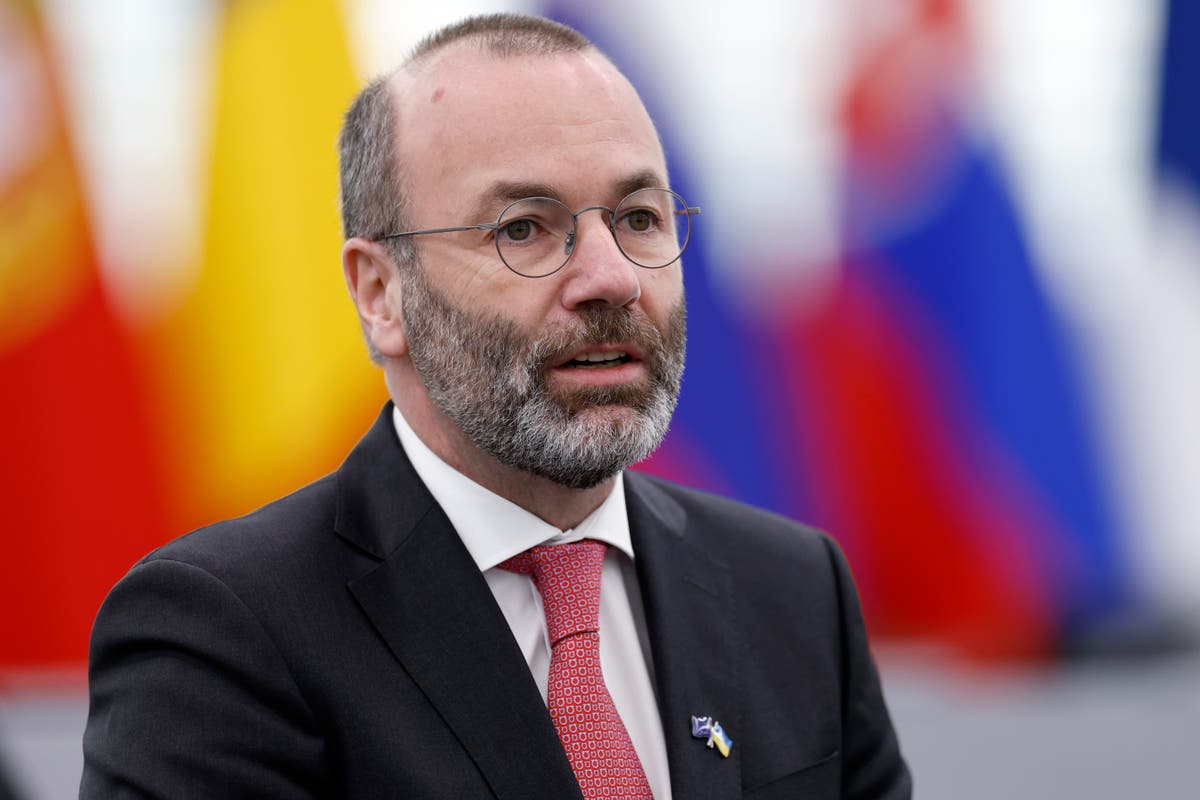 Top EU lawmaker says firewall against German far right stands, but willing to work with Meloni