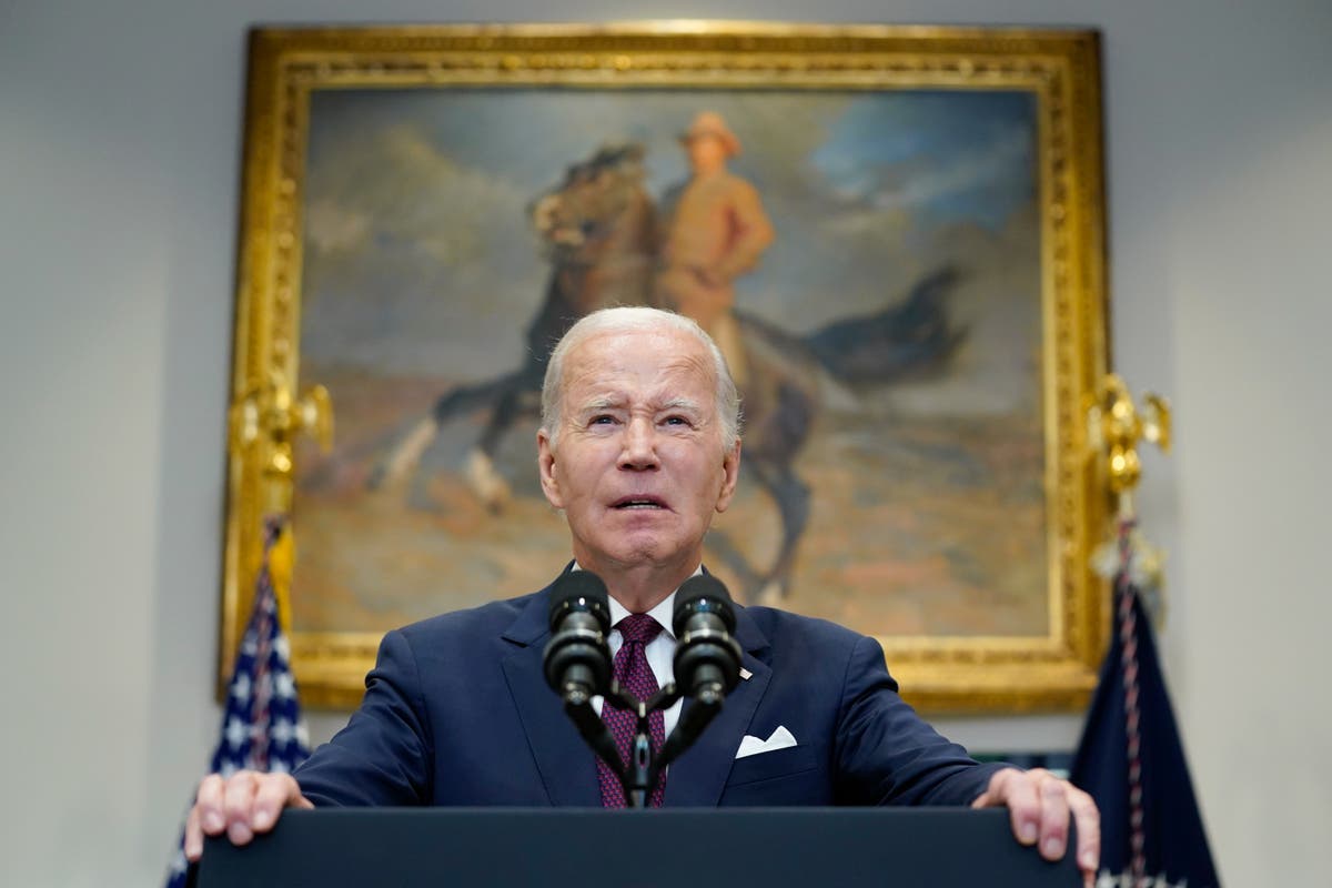 Stymied by the Supreme Court, Biden wants voters to have the final say ...