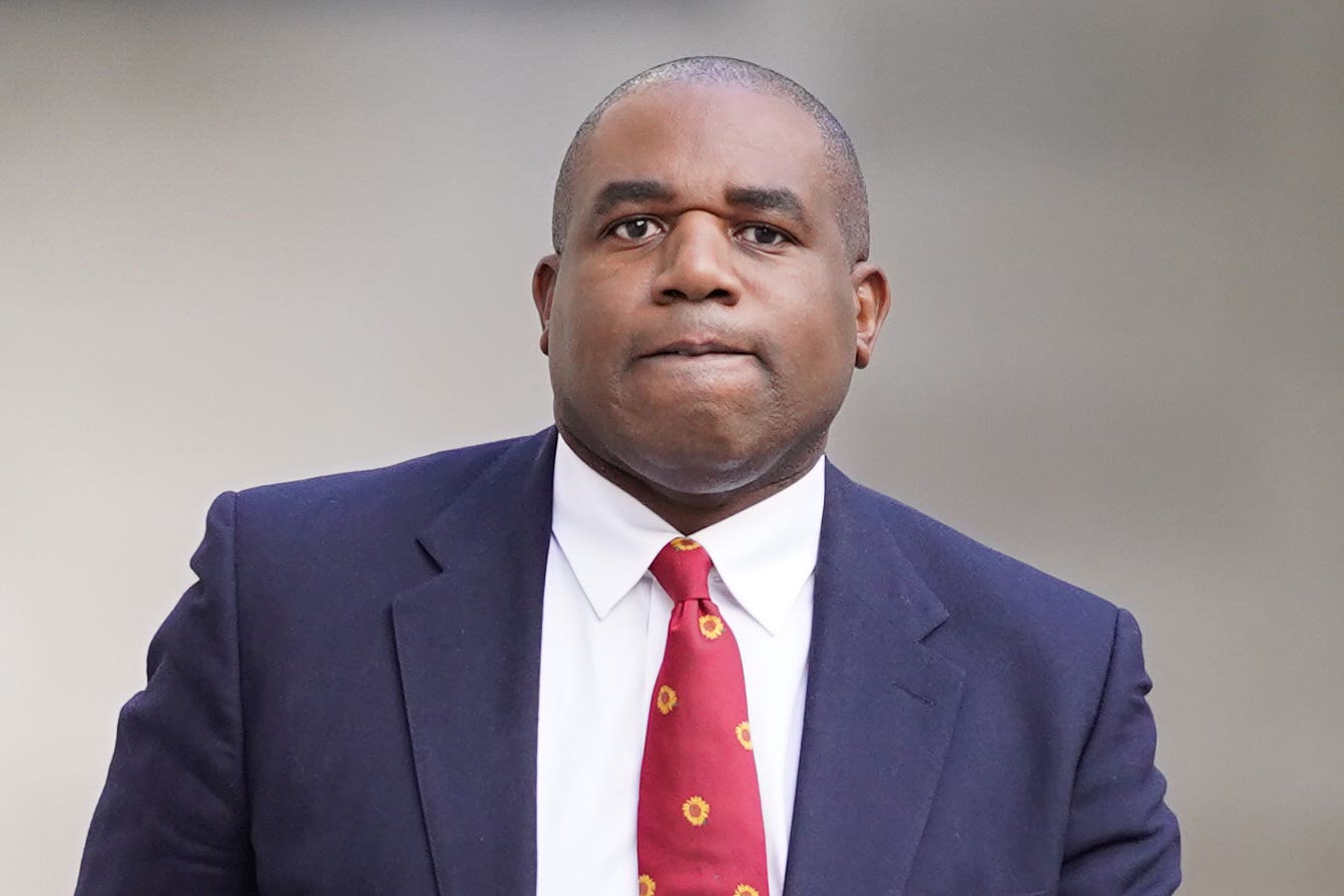 Shadow foreign secretary David Lammy will say ‘the magnitude of the global challenges we face have never been greater’ (Stefan Rousseau/PA)