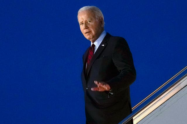 <p>Joe Biden has a history of stumbling over his words </p>