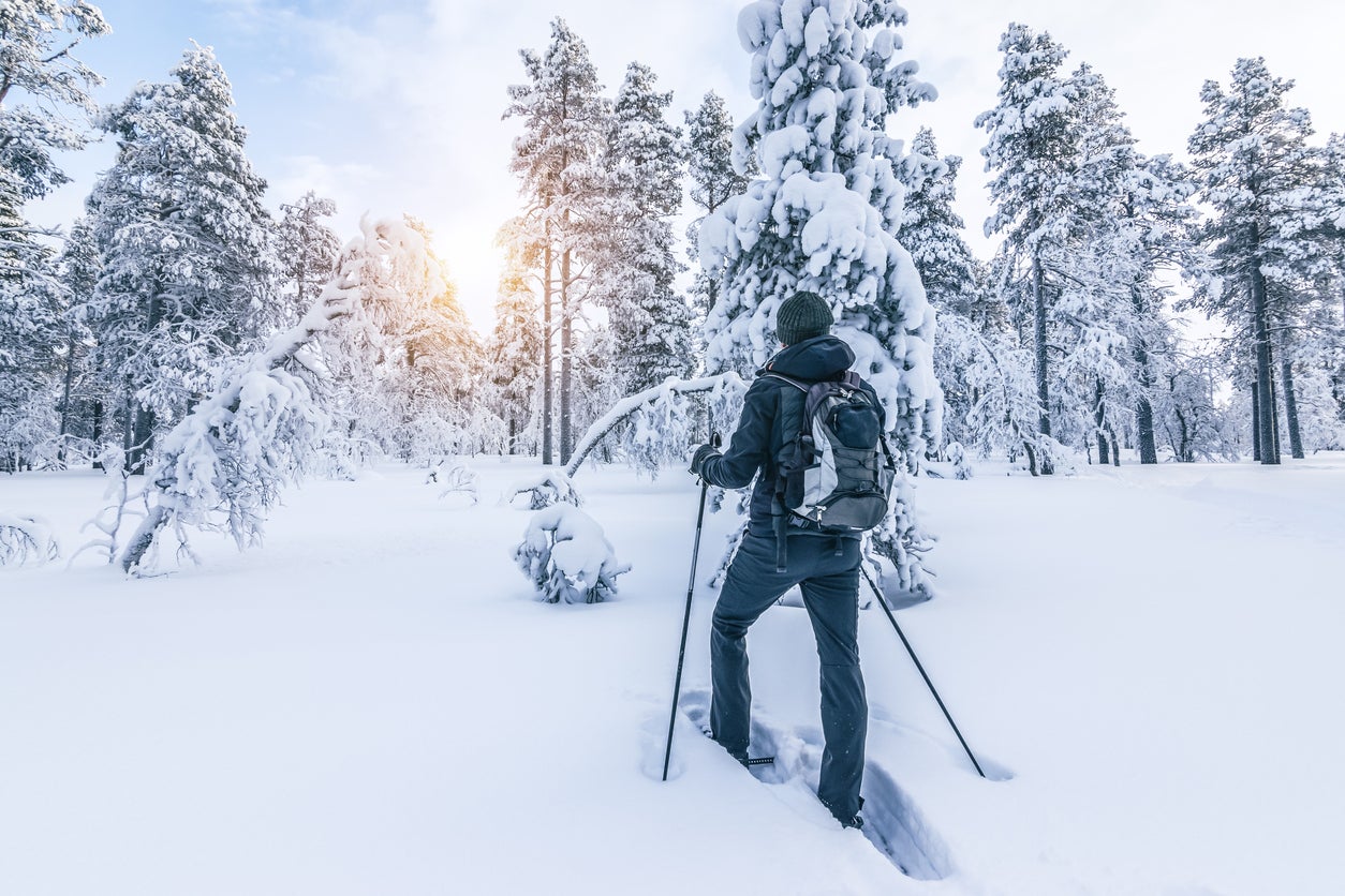 Slip on your snowshoes and go off-piste to Lapland’s secluded corners