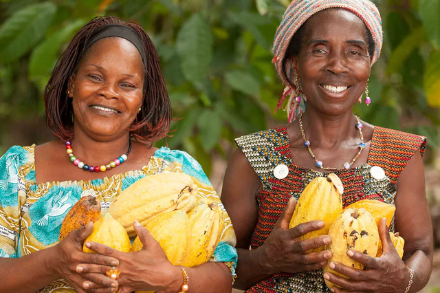 <p>Via initiatives that boost financial and entrepreneurial skills, Galaxy is helping women in cocoa-farming communities thrive </p>