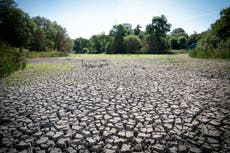 Hottest week on record ‘worrying news for planet’, say scientists