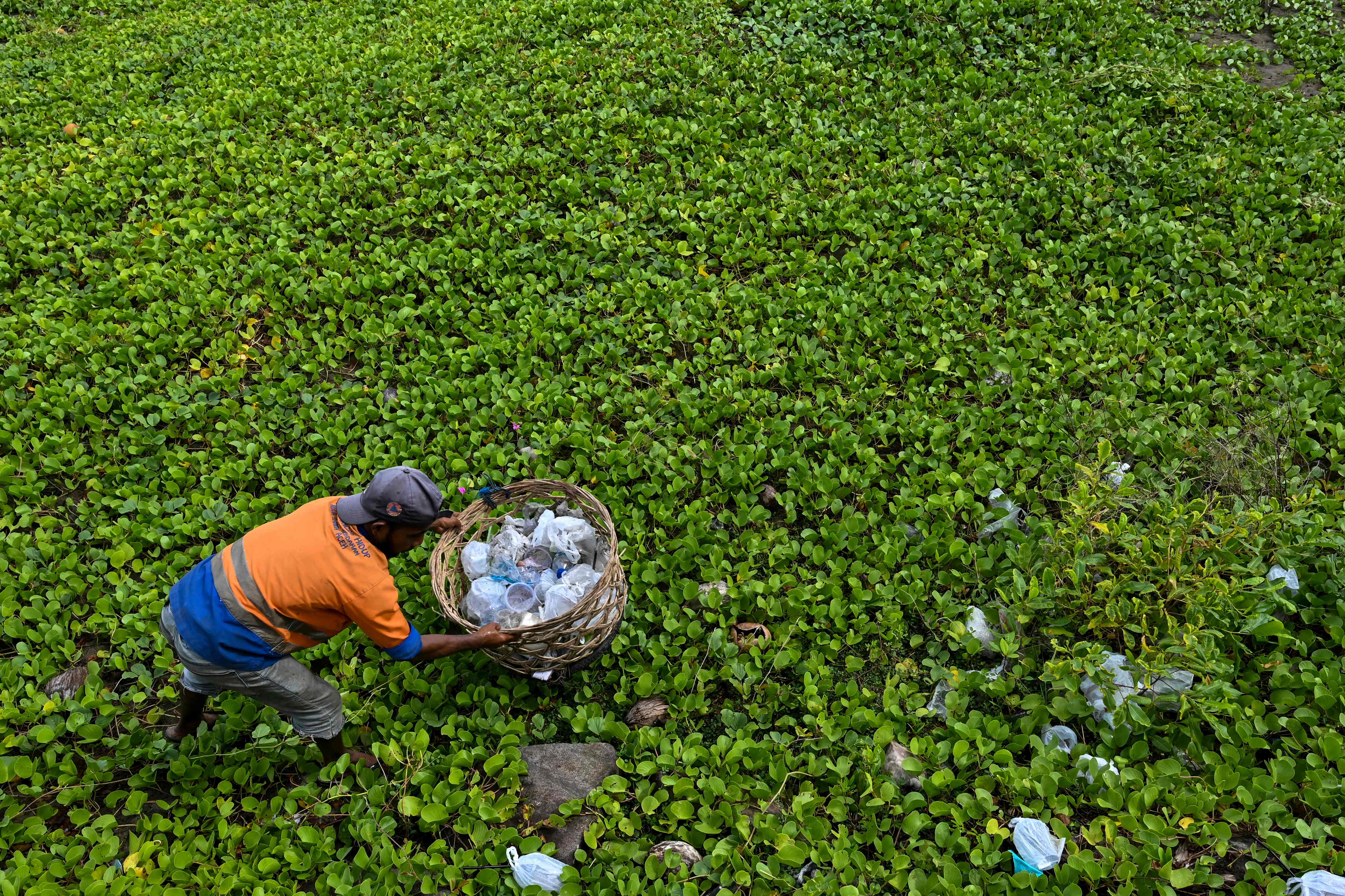 A worker clears driftwood and plastic waste washed ashore at a beach in Banda Aceh on July 10, 2023.