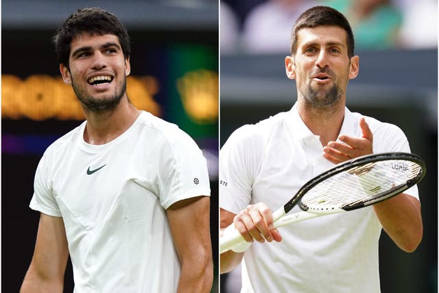 Carlos Alcaraz and Novak Djokovic cannot face each other until the final (PA)