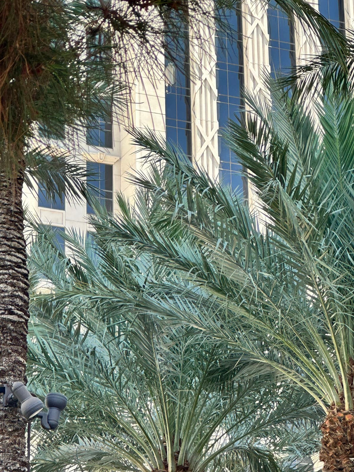 Caesars Palace standoff - live: SWAT teams respond to ‘armed’ man barricaded in Las Vegas hotel with ‘hostage’ Caesars Palace standoff - live: SWAT teams respond to ‘armed’ man barricaded in Las Vegas hotel with ‘hostage’