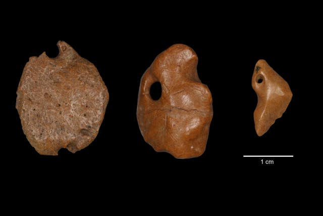 Giant Sloth Early Americans